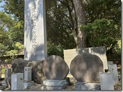 IMG_4881(1) IMG_4881(1)