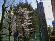 200803290909_008
