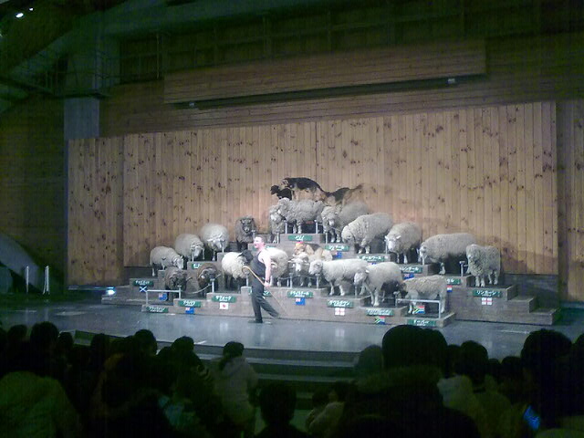 1/2010021512532001-20100214221.jpg 1/2010021512532001-20100214221-small.jpg
