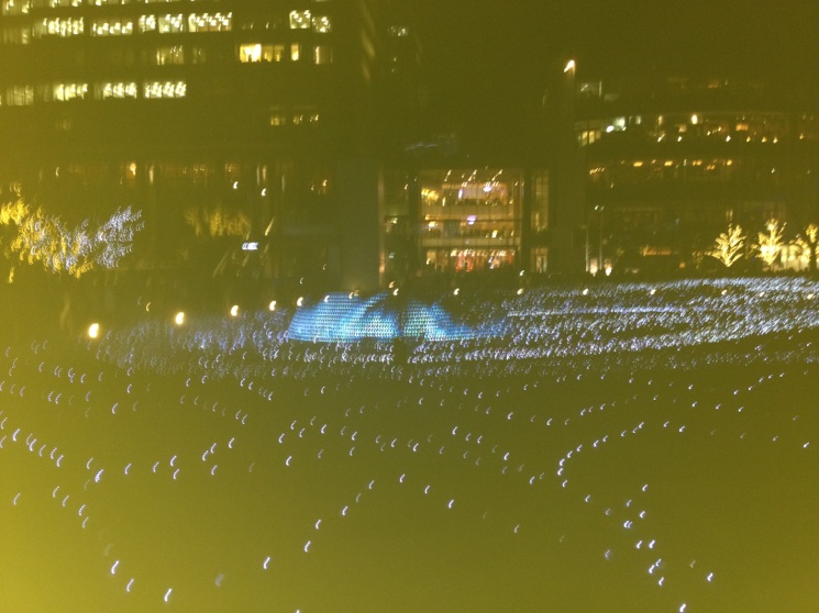 1/2011122110424303-IMG_1304.jpg 1/2011122110424303-IMG_1304-small.jpg