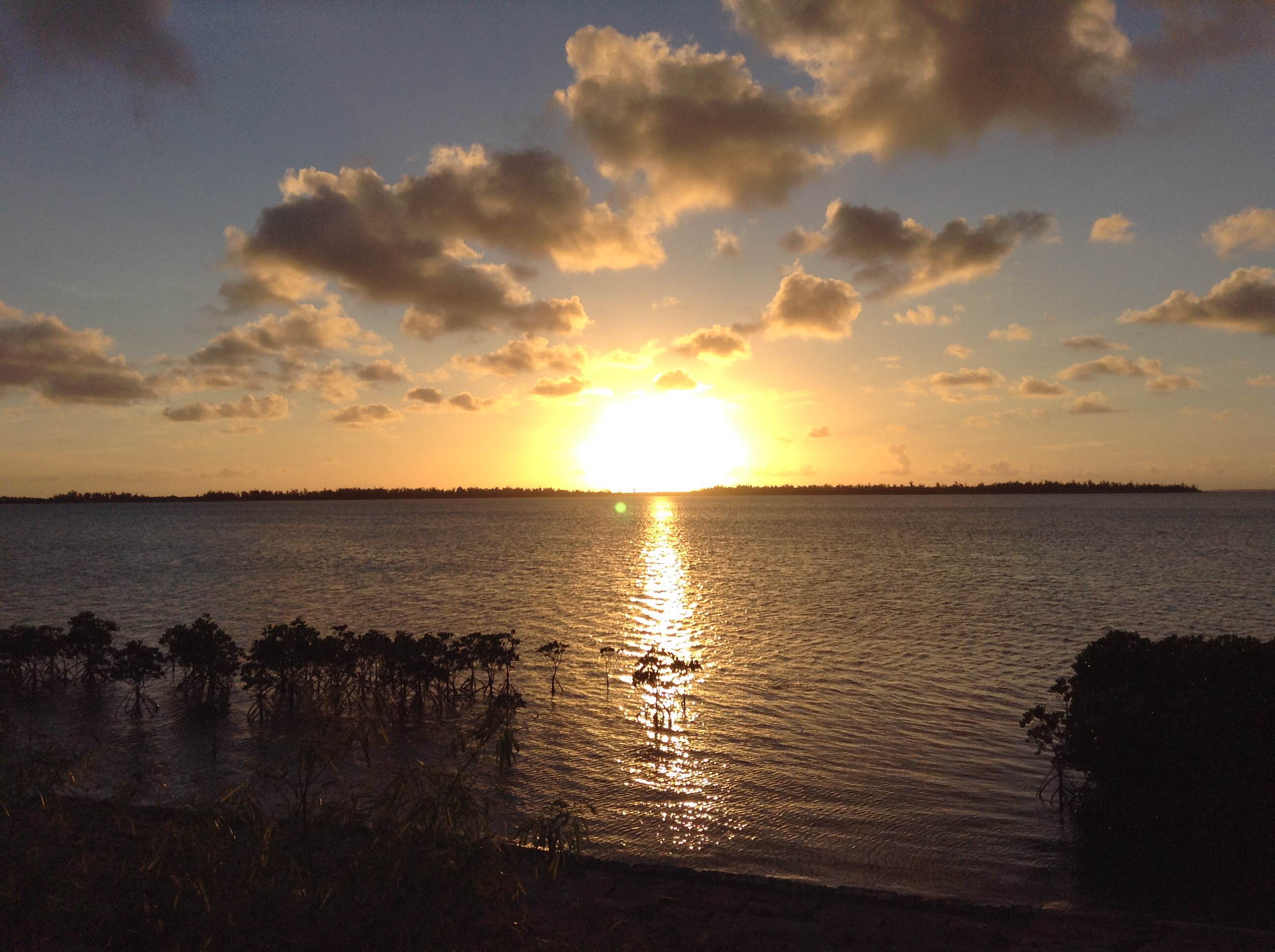 1/2013093019281600-photo-small.jpg 1/2013093019281600-photo-small.jpg