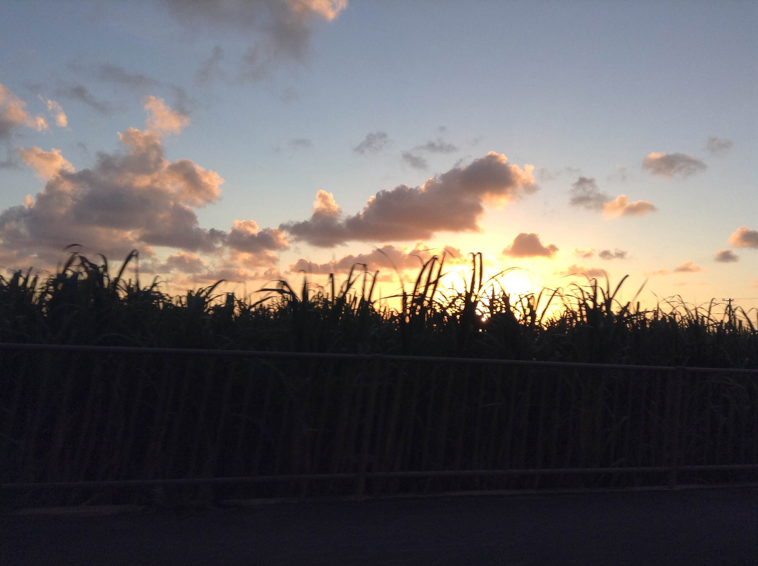 1/2013093019281602-photo-small.jpg 1/2013093019281602-photo-small.jpg