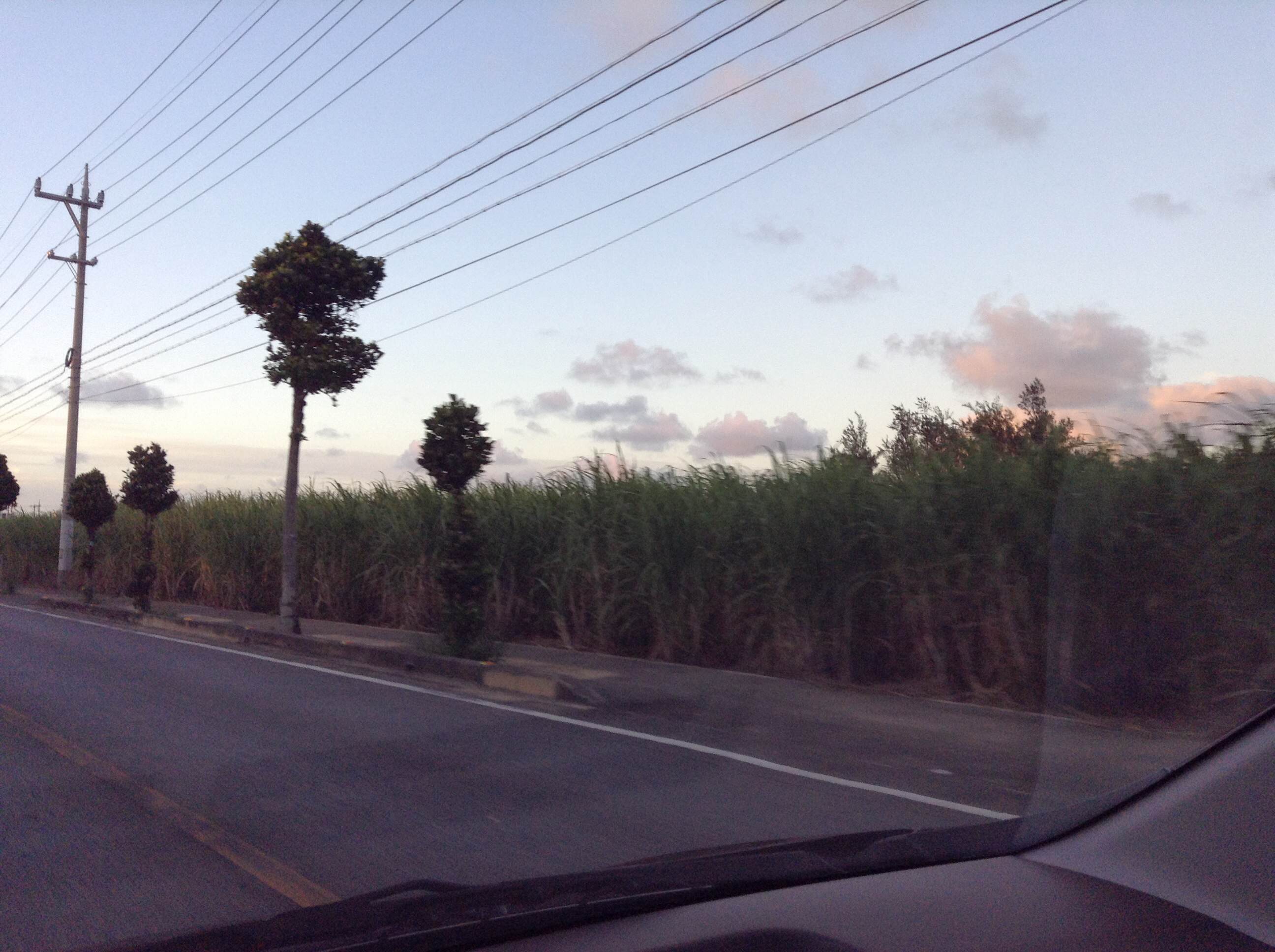 1/2013093019281603-photo-small.jpg 1/2013093019281603-photo-small.jpg