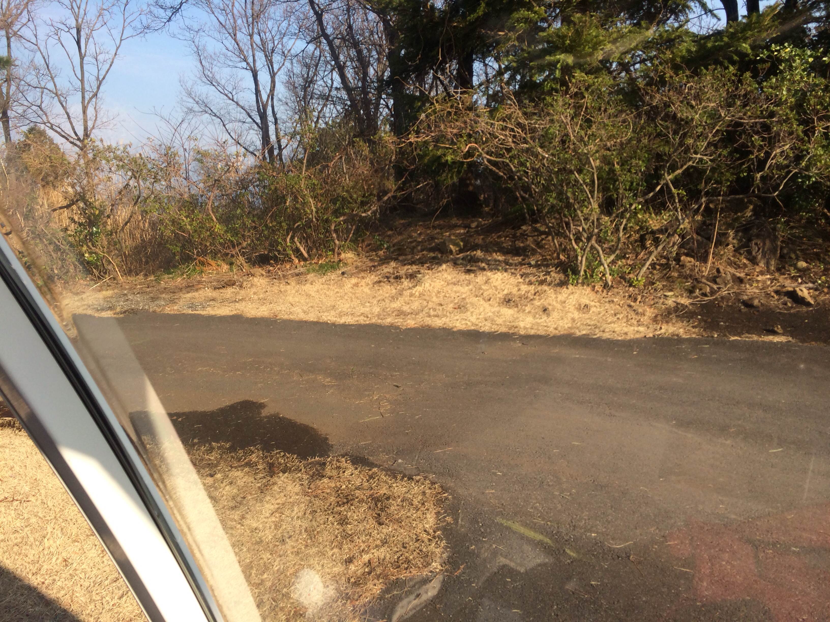 1/2014021918132901-photo-small.jpg 1/2014021918132901-photo-small.jpg