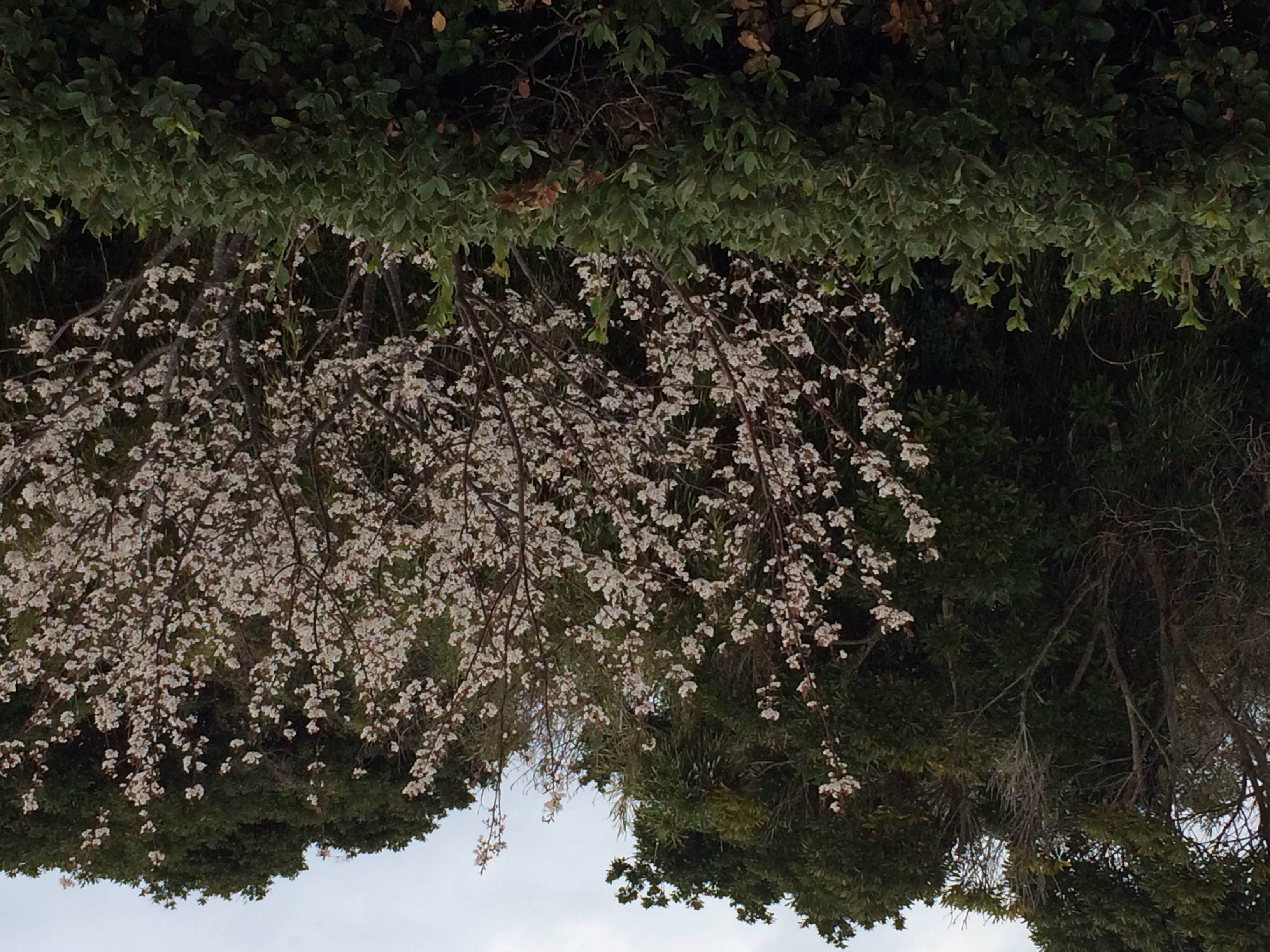 1/2014022613291907-photo-small.jpg 1/2014022613291907-photo-small.jpg