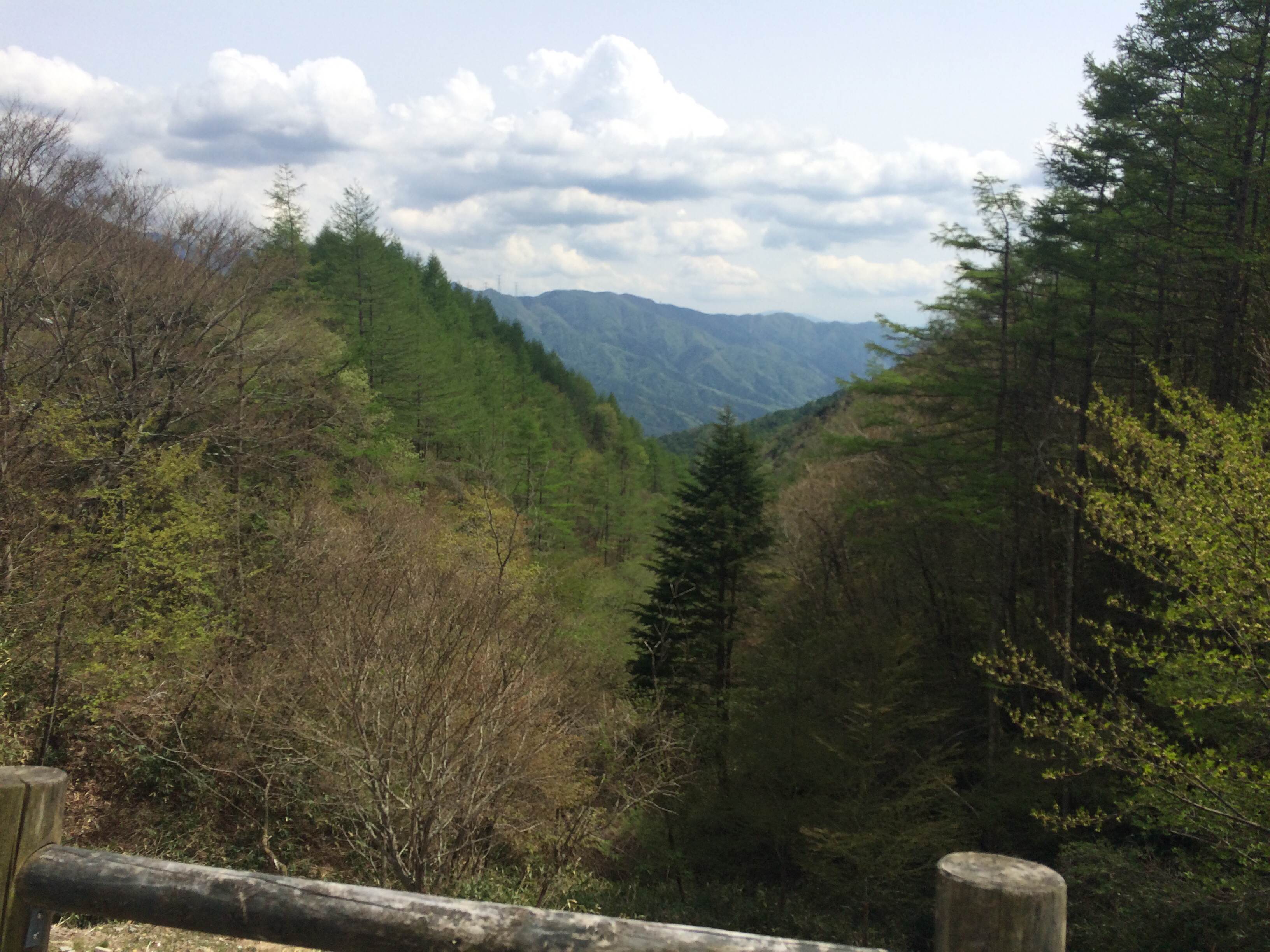 1/2014051918254806-photo3-small.jpg 1/2014051918254806-photo3-small.jpg