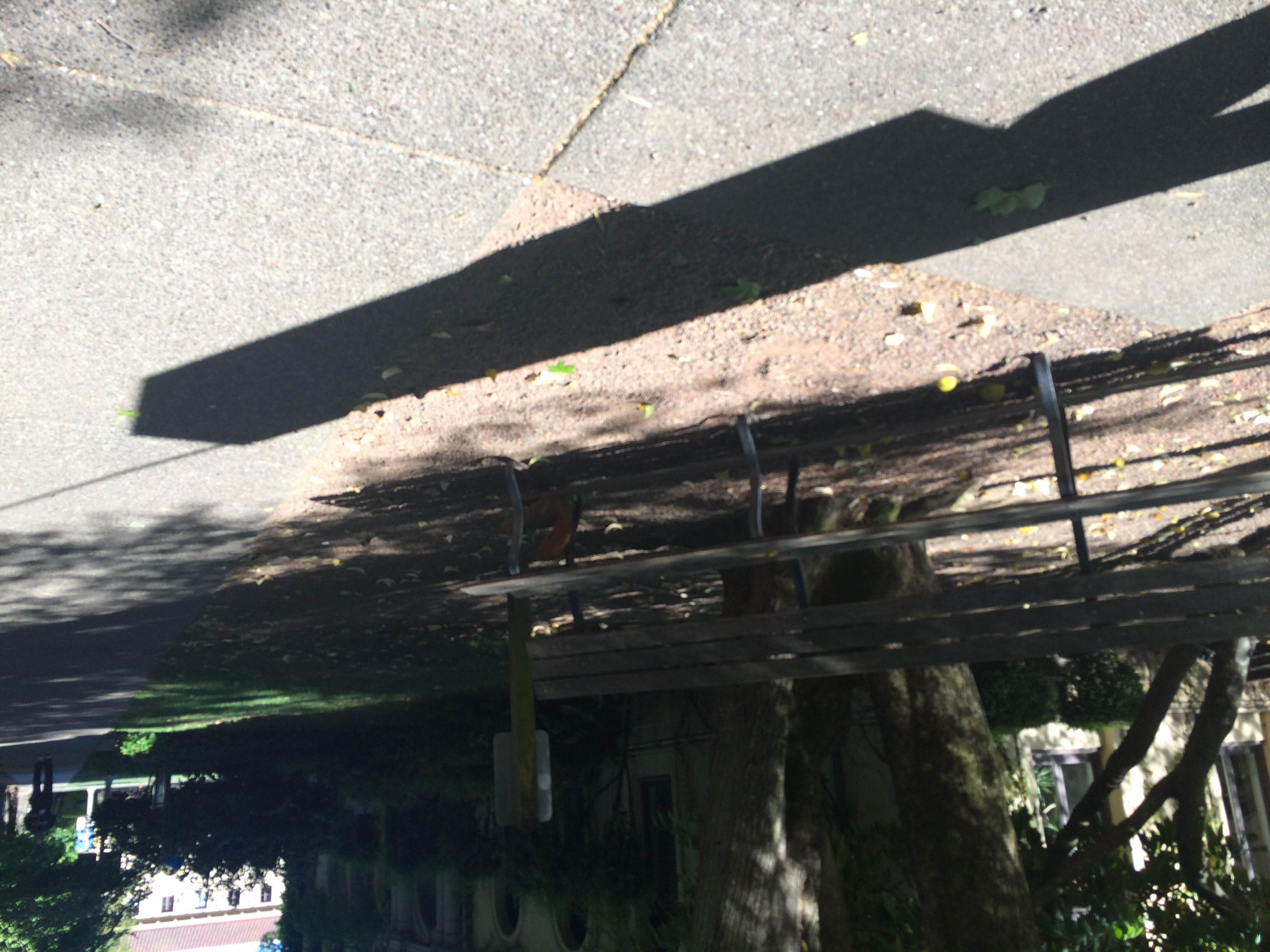 1/2014061800594402-photo3-small.jpg 1/2014061800594402-photo3-small.jpg