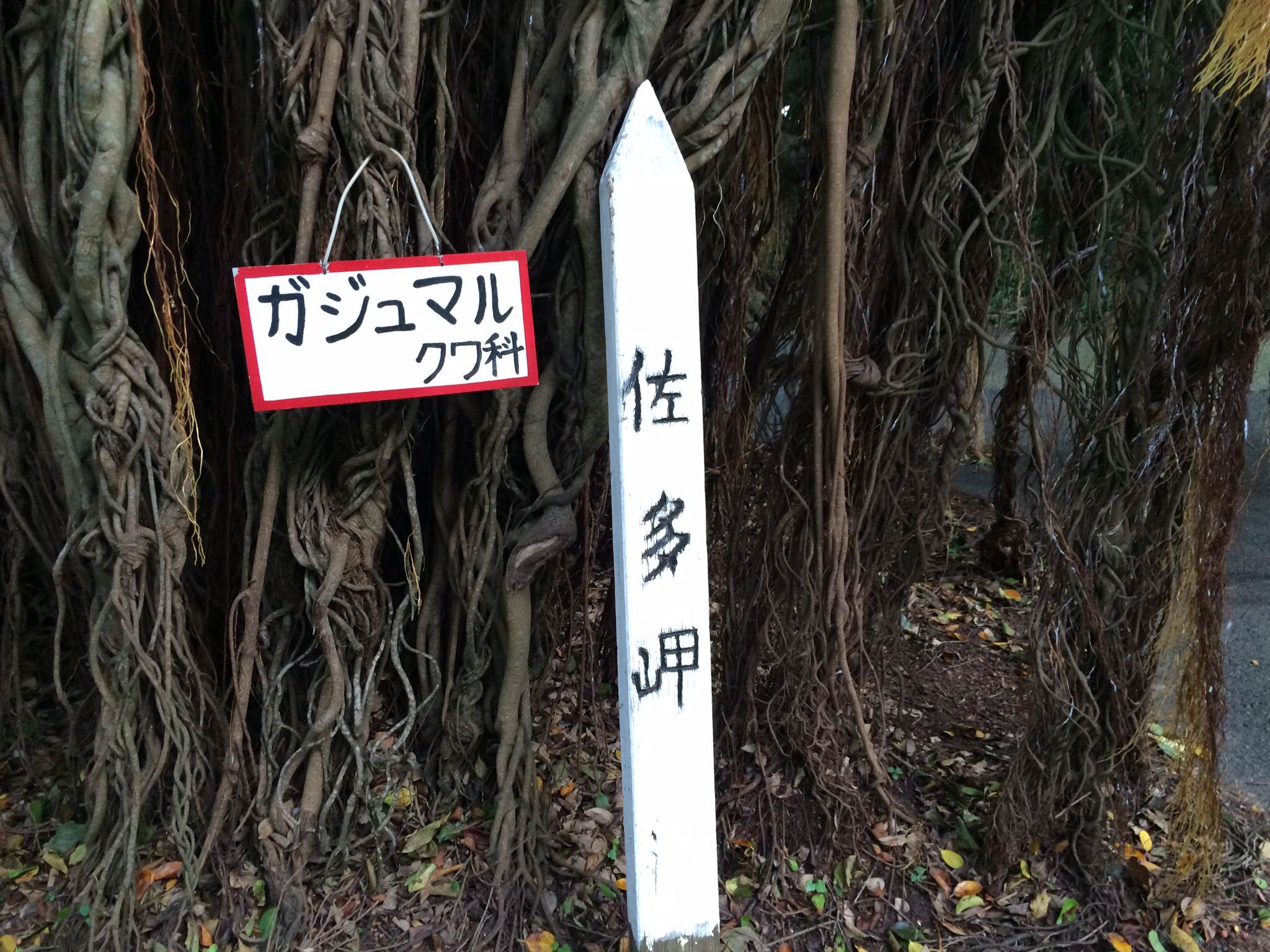 1/2014072100424801-photo1-small.jpg 1/2014072100424801-photo1-small.jpg