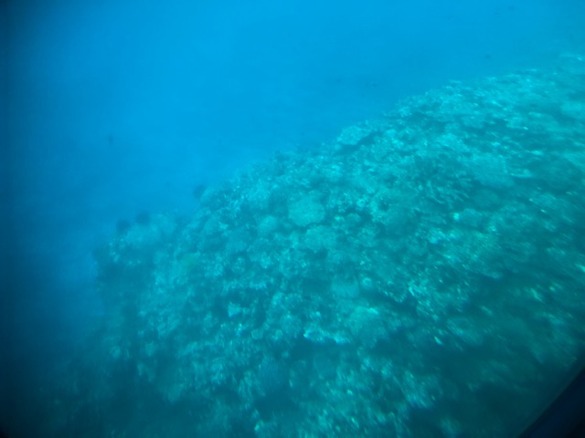 1/2018100818285511-IMG_6546-small.jpg 1/2018100818285511-IMG_6546-small.jpg
