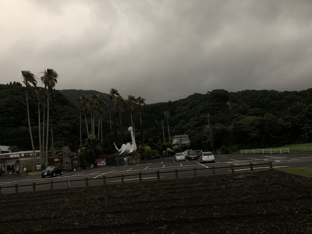 1/2019071321041214-IMG_8317-small.jpg 1/2019071321041214-IMG_8317-small.jpg