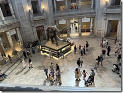 IMG_5488