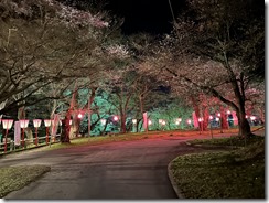 IMG_4795(1) IMG_4795(1)