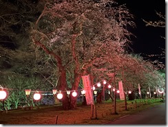 IMG_4797(1) IMG_4797(1)