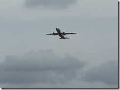 IMG_4900(2) IMG_4900(2)