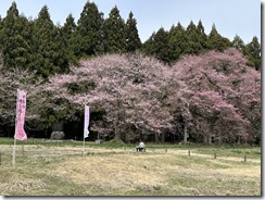 IMG_4814(1) IMG_4814(1)