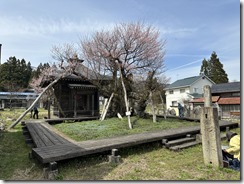 IMG_4816 IMG_4816