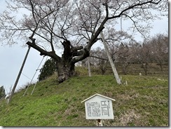IMG_4820(1) IMG_4820(1)