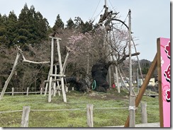IMG_4825(1) IMG_4825(1)
