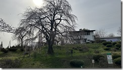 IMG_4827(1) IMG_4827(1)