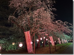 IMG_4834 IMG_4834