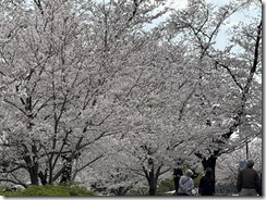 IMG_1775
