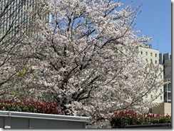IMG_1791