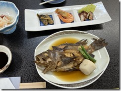 IMG_2237 IMG_2237