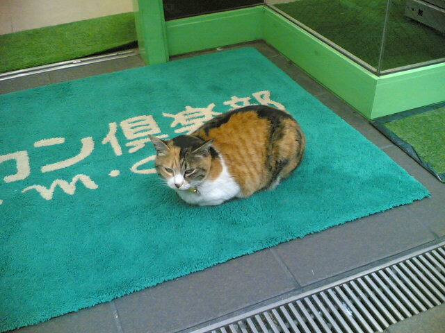 にゃ にゃ