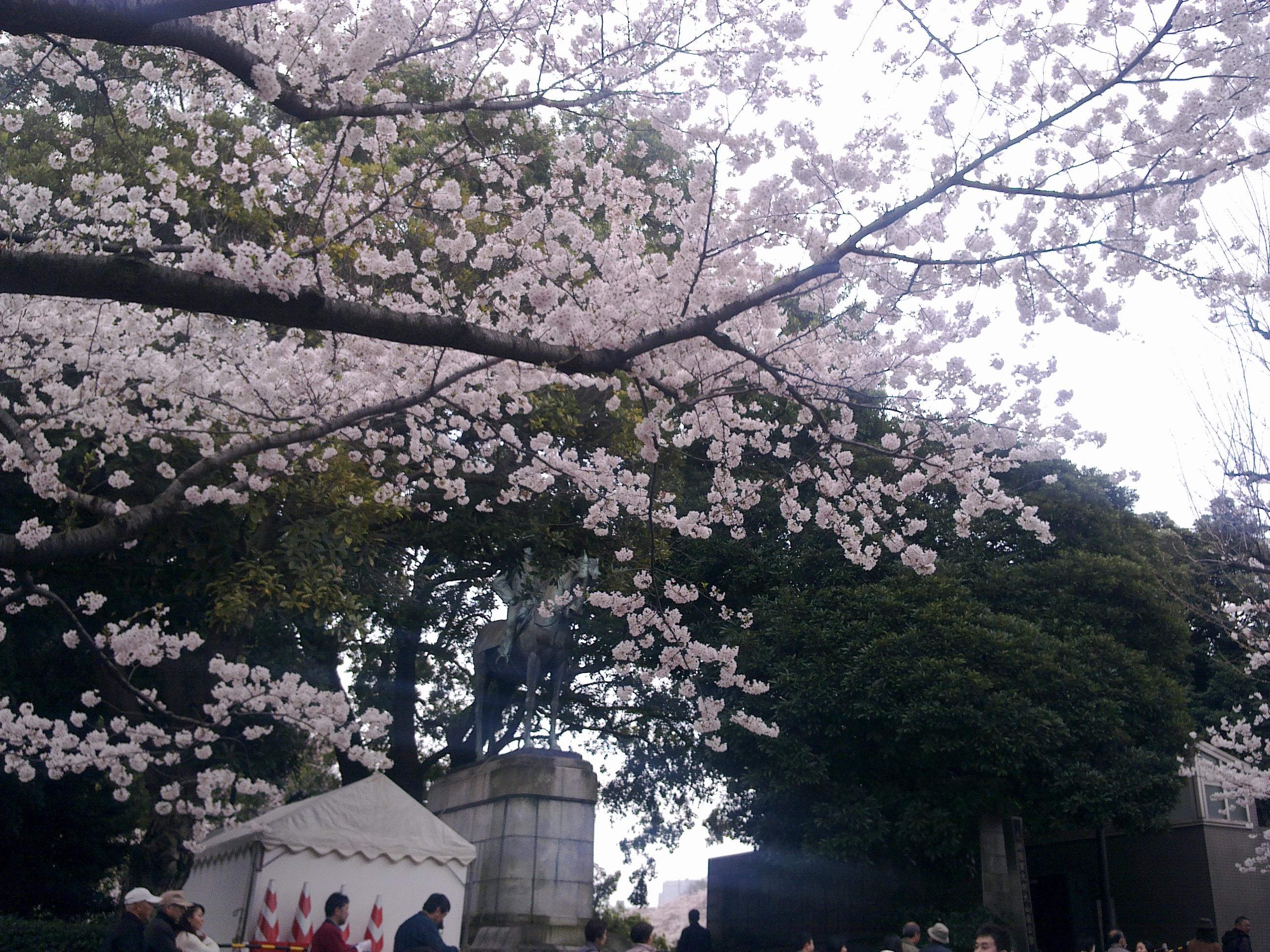 20100403-20100403002.jpg