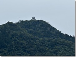 IMG_6181