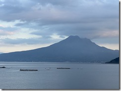 IMG_6555