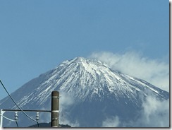 IMG_0870