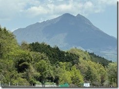 IMG_6008(1)