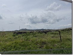 IMG_6203(1)