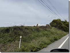 IMG_6208(2)