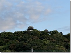 IMG_6351