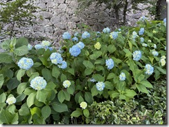 IMG_6403(1)
