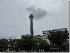 IMG_6655