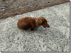 IMG_0212 IMG_0212