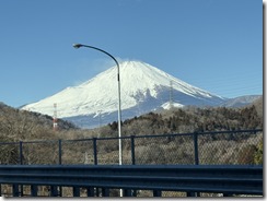 IMG_1174