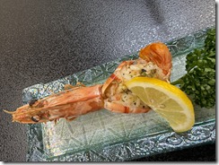 IMG_2244