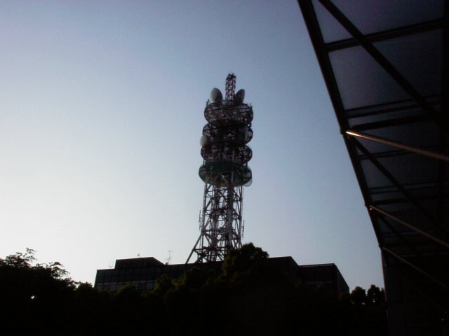 2001/5/16 こんにちはお久しぶりですて池袋りりすです。 さてさて、またまた毎日追われていた…