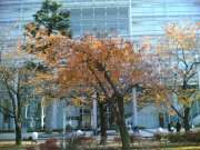 20051127(005)