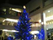 20051220