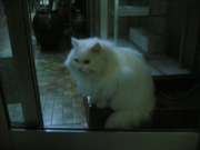 20051229(016)