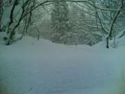 20060103