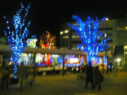 13012006(001)