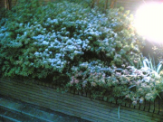 21012006