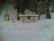 23012006(002)