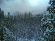 24012006(006) 24012006(006)